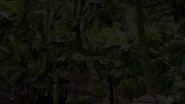 Интересные факты о мороженом