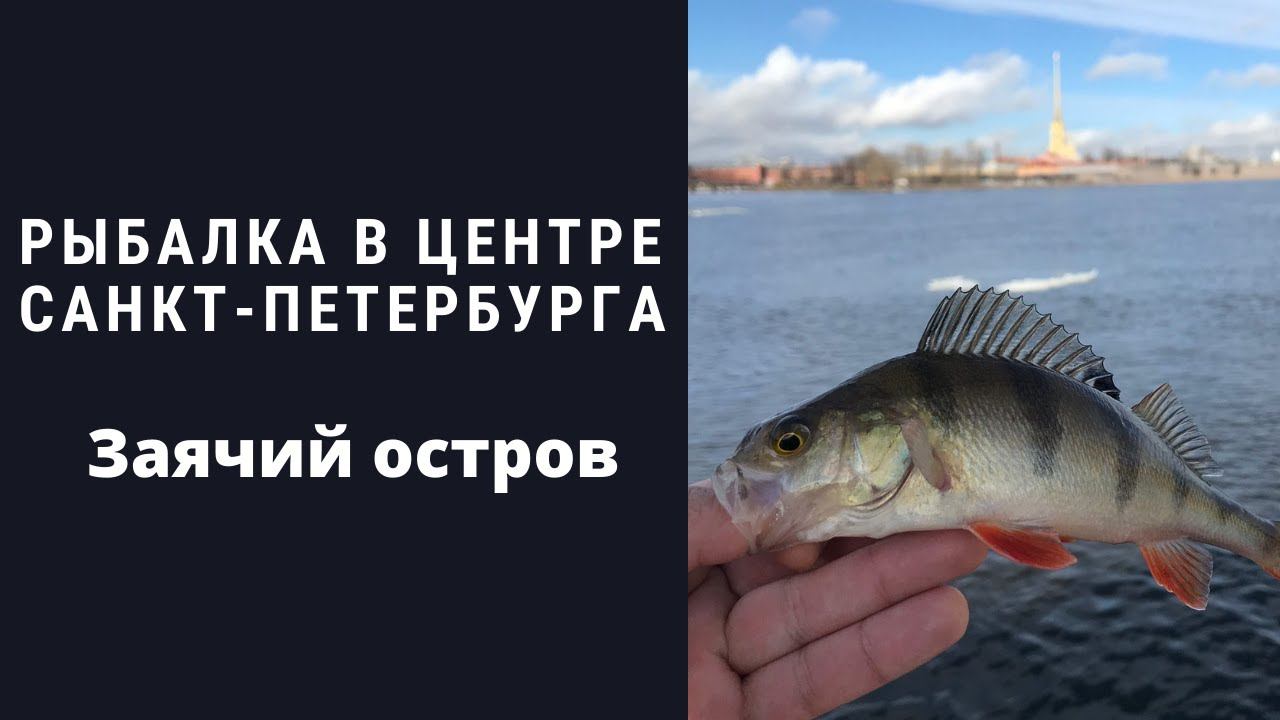 #3 #ультралайт Рыбалка Санкт-Петербург. У Петропавловской крепости смотреть онлайн