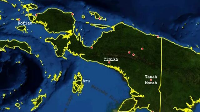 Green Tree Python Locality Types - AlbinoChondro.com смотреть онлайн