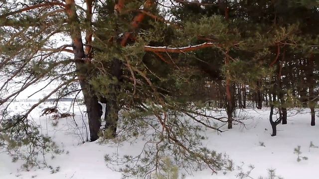 гон рг Бурана и Раската по зайцу смотреть онлайн