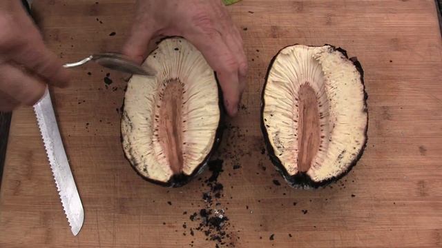 Breadfruit Panas Artocarpus altilis Cooking