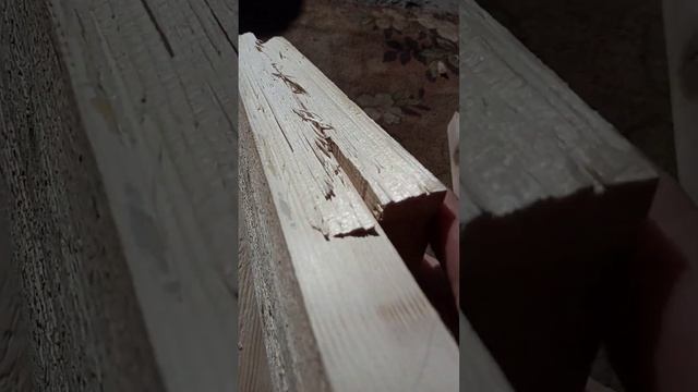 тест ПВА клея