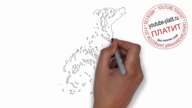 как нарисовать карандашом скучающую собаку смотреть онлайн