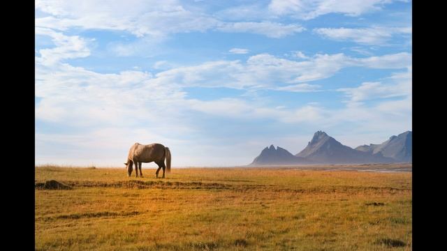 Год прошел, год ушел. #христианские_песни #Xристианская_Музыка #христианские #хвалы_и_поклонения смотреть онлайн