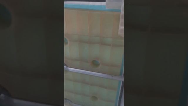 Ремонт посудомоечных машин, подготовка к транспортировке, слив воды из машины смотреть онлайн