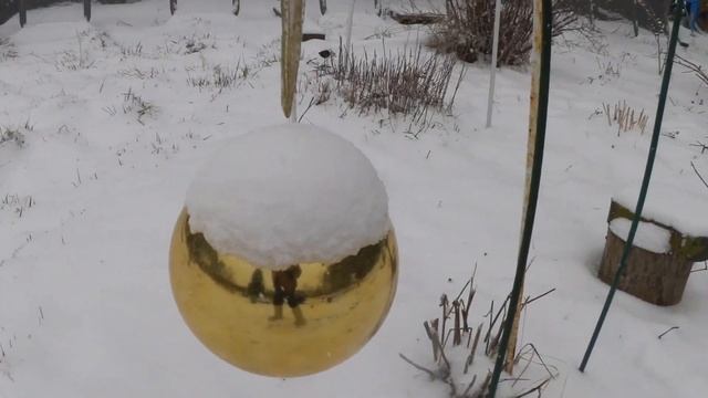 ДАЧА. Кипит работа!/Общаемся по видео! смотреть онлайн