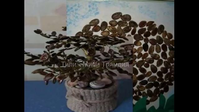 Поделки из арбузных косточек-Идеи интернета смотреть онлайн