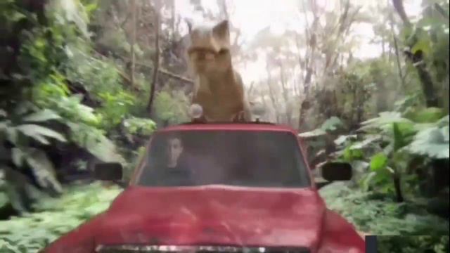 В мире диких животных смотреть онлайн