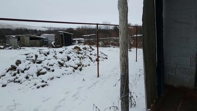 Какой дом можно купить в деревне за 100 тыс. руб.!!! смотреть онлайн