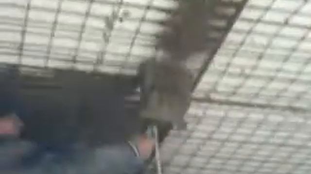штукатурка лопатой потолка смотреть онлайн