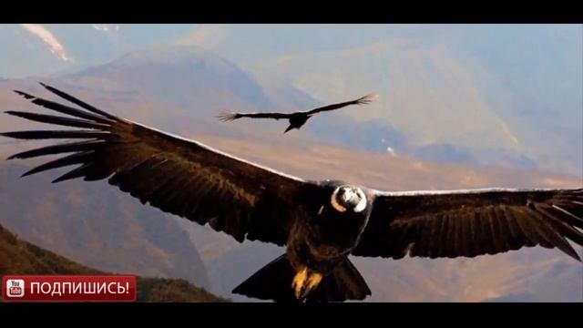 Археологи в недоумении .Кто и зачем строил эти таинственные сооружения