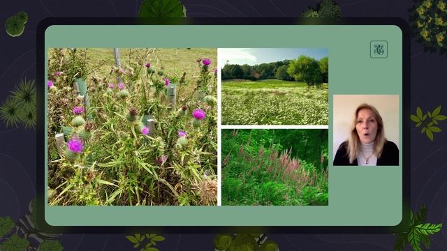 О книге Джона Брукса "Как создать дизайн сада" смотреть онлайн