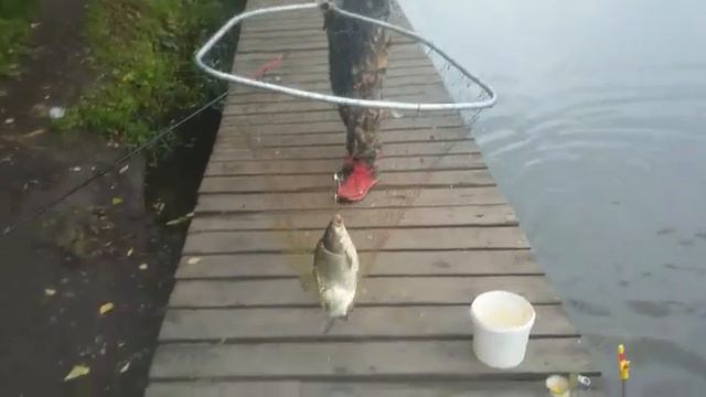 Карпуша клюёт, Красногорск смотреть онлайн