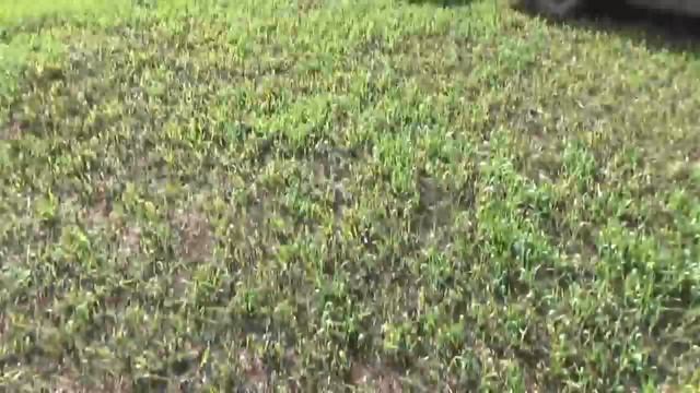 НЕ БИТАЯ КУЗНЯ!! МЕТАЛЛА ПРОСТО МНОГО. смотреть онлайн