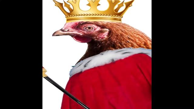 в главных ролях самодельные авы