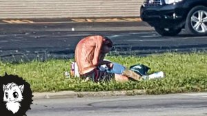 ОН СИДЕЛ 3 ГОДА НА ОДНОМ МЕСТЕ, ПОКА ПРОХОЖАЯ НЕ ИЗМЕНИЛА ЕГО ЖИЗНЬ [Белый кот]