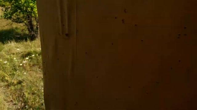 Тест спортивных патронов. 28гр.