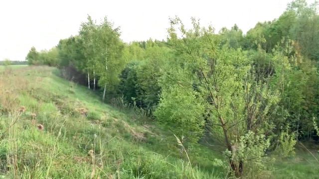 заброшенное озеро. смотреть онлайн