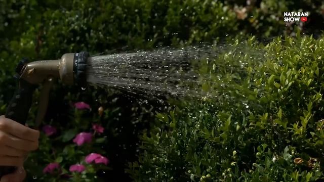 ЧТО БУДЕТ, Если ЗАКОПАТЬ Яйцо в Вашем САДУ? смотреть онлайн