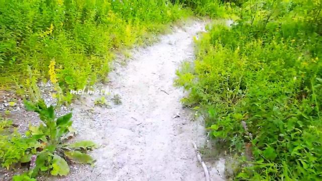Меловая пещера // Заброшенный монастырь // звуки природы // Chalk Cave // Abandoned Monastery