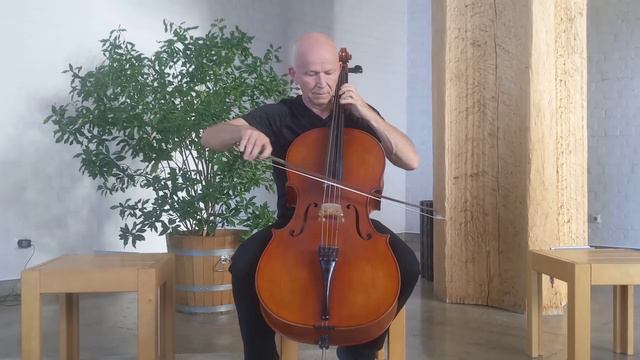 J.S.Bach Cello Suite 4 E flat Major BWV 1010 / Andreas Thiemig смотреть онлайн