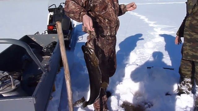 ? Рыбалка, щука на 4,8 кг смотреть онлайн