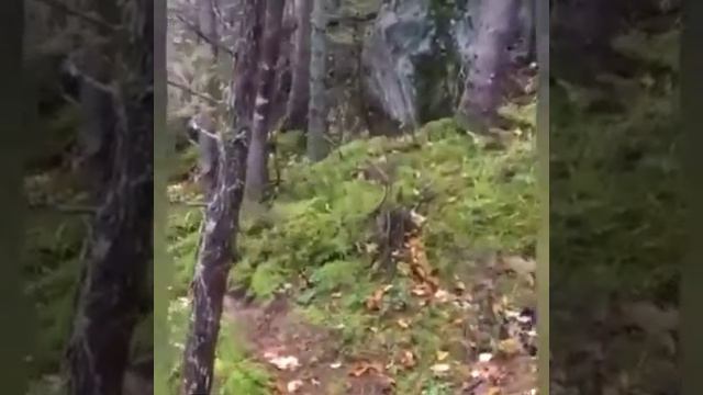 Стихийные бедствия смотреть онлайн