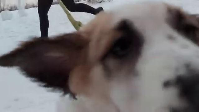 4 января 2021 г.