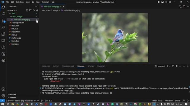 Vs Code Tutorial: How To Add Files To A Repository