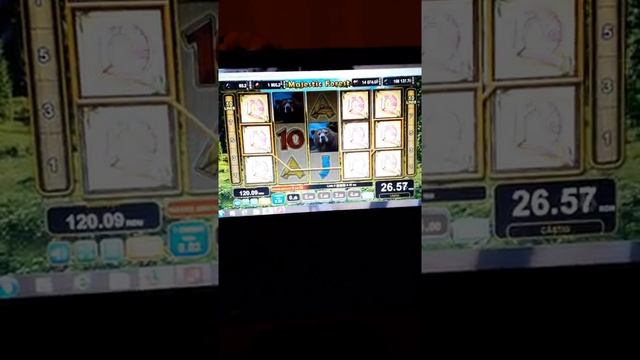 Free spins Majestic Forest смотреть онлайн