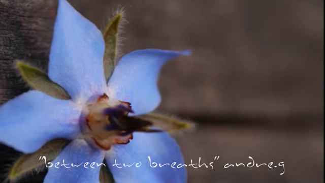 "between two breaths" ZOOM H6, Epiphone Masterbilt, acoustic guitar composition смотреть онлайн