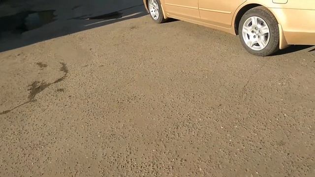 Китайский винил золотой карбон. пленка fiveStar спустя 3.5 года смотреть онлайн