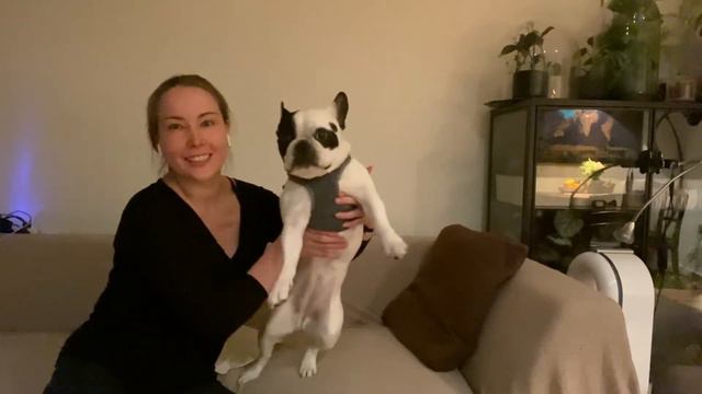 РАСПАКОВКА [Обновки Для Меня И Бонни] смотреть онлайн