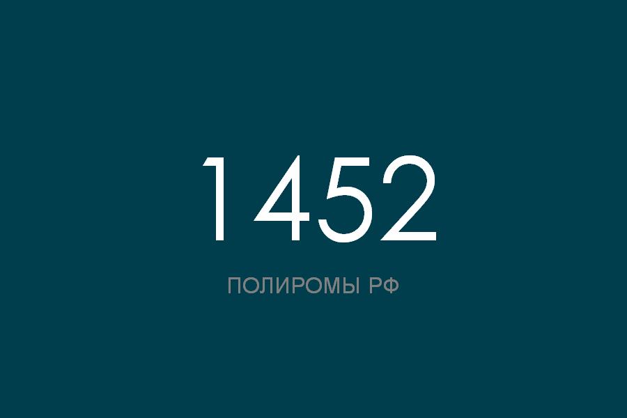 ПОЛИРОМ номер 1452 смотреть онлайн
