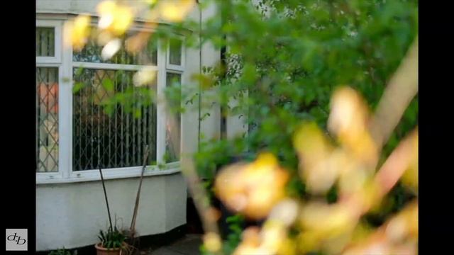 Fujifilm X-T2 - XF35mm f/1.4 Autofocus Tests смотреть онлайн