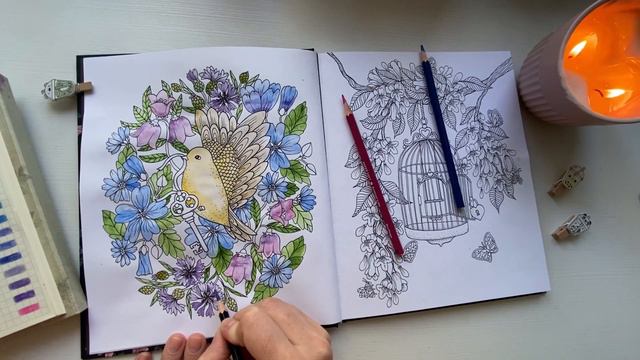Начинаю новую раскраску по желанию подписиков Магический дом или Сумеречный сад #хобби #раскраска смотреть онлайн