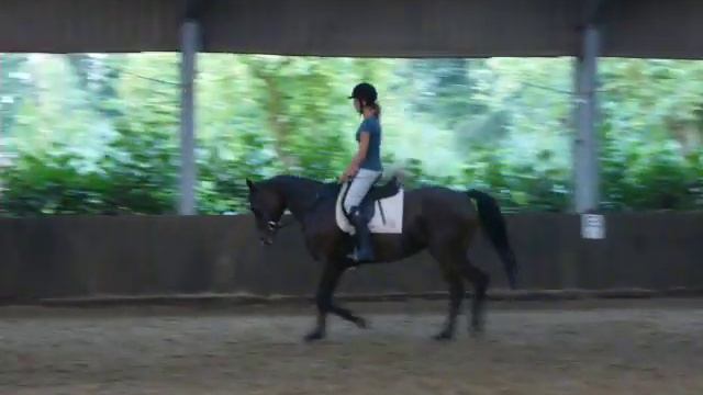 Gut Stockum 09 Julia und Sunlight смотреть онлайн