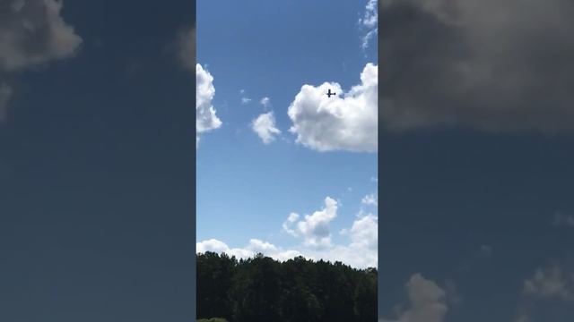Sig 1/4 scale clipped wing cub maiden flight смотреть онлайн