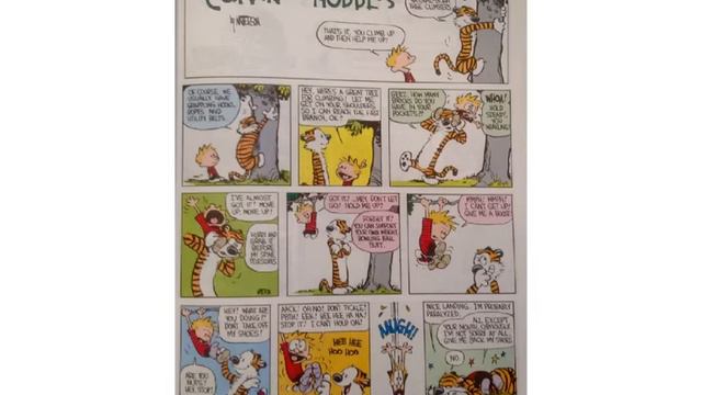 A Sunday Sampler of CALVIN AND HOBBES comics / excerpted from Bill Watterson's comic strip. смотреть онлайн