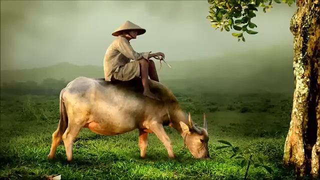 Vietnamese Music Relax with flute - Nhạc Thư Giãn Giúp Ngủ Ngon смотреть онлайн