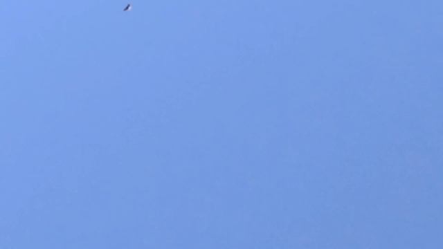 Мои николаевские голуби? (зачёт- кр. бурый 1:20) смотреть онлайн