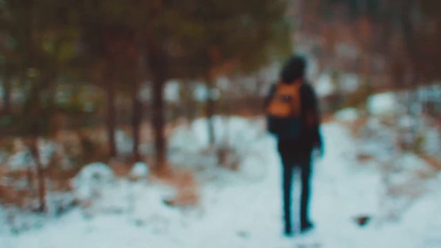 Feel free\Почувствуй свободу смотреть онлайн