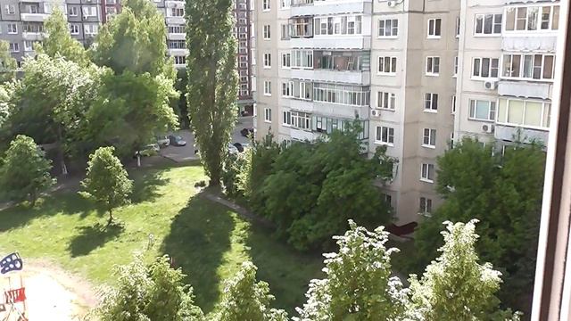 На Липецк движется гроза с градом и ураганом смотреть онлайн