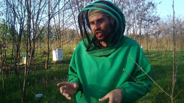 Пасека в роевом состоянии. Роение пчел. Первые признаки пчеловод увидит по маточниках смотреть онлайн