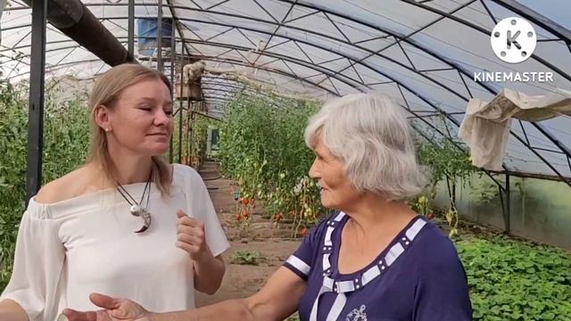 Раиса Сотникова. Минусинские помидоры, сорта, примеры, опыт и советы смотреть онлайн