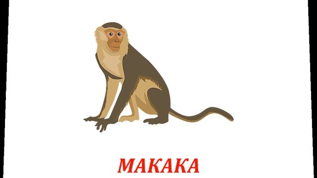 Логопедична гра «Хто у кошику?» (2 тип ССС) смотреть онлайн