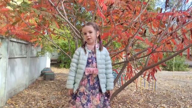 Ф.И. Тютчев. "Есть в осени первоначальной..." Читает Яковлева Полина смотреть онлайн