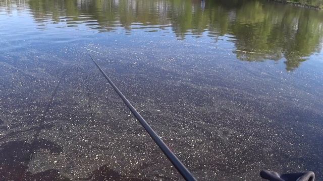 Фидер или Поплавок БАТЛ. Рыбалка на канале. смотреть онлайн