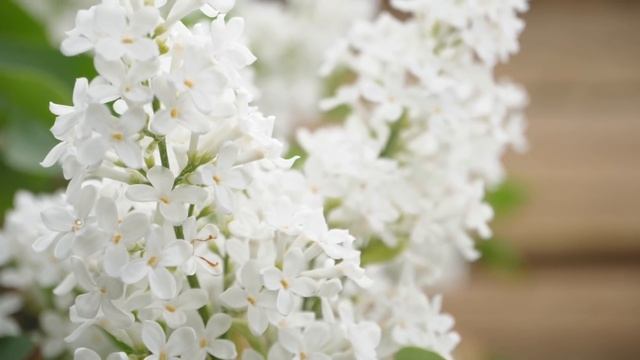 СтройКосмос