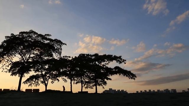 Canon EOS 6D Mark II Movie Digital IS High смотреть онлайн